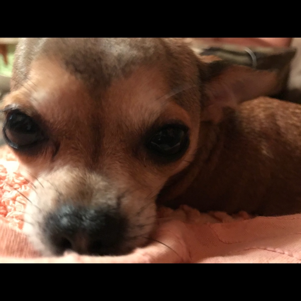 Meet your Posher, Thelma